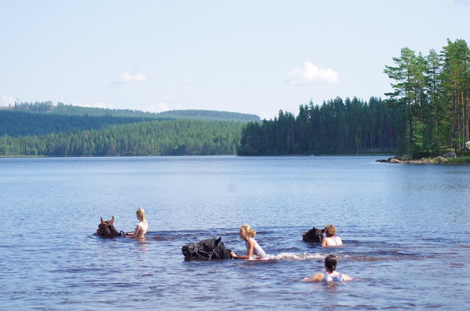Ekshärad Sun Dance Ranch Bed & Breakfast エクステリア 写真
